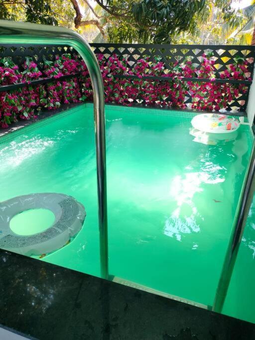 Greentique Luxury Flat With Plunge Pool, Apartment